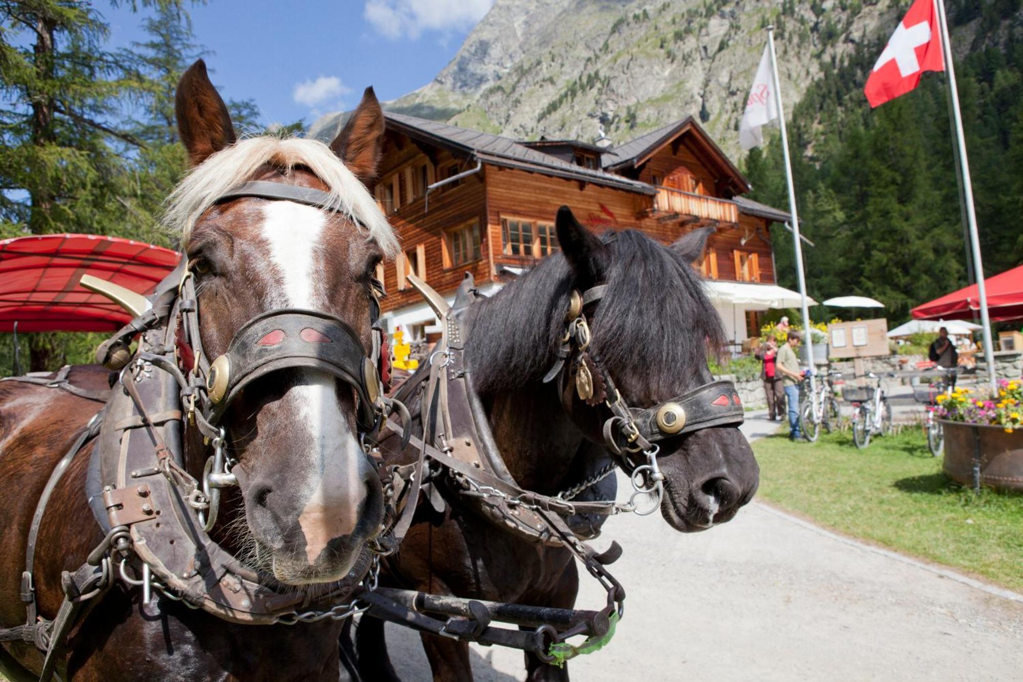 Gasthaus Spinas Bever Εξωτερικό φωτογραφία