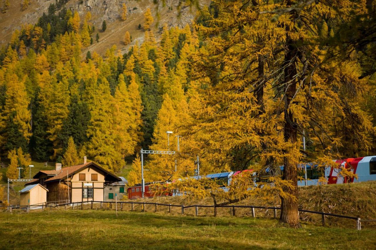 Gasthaus Spinas Bever Εξωτερικό φωτογραφία